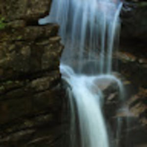 Meet your Posher, Paulina